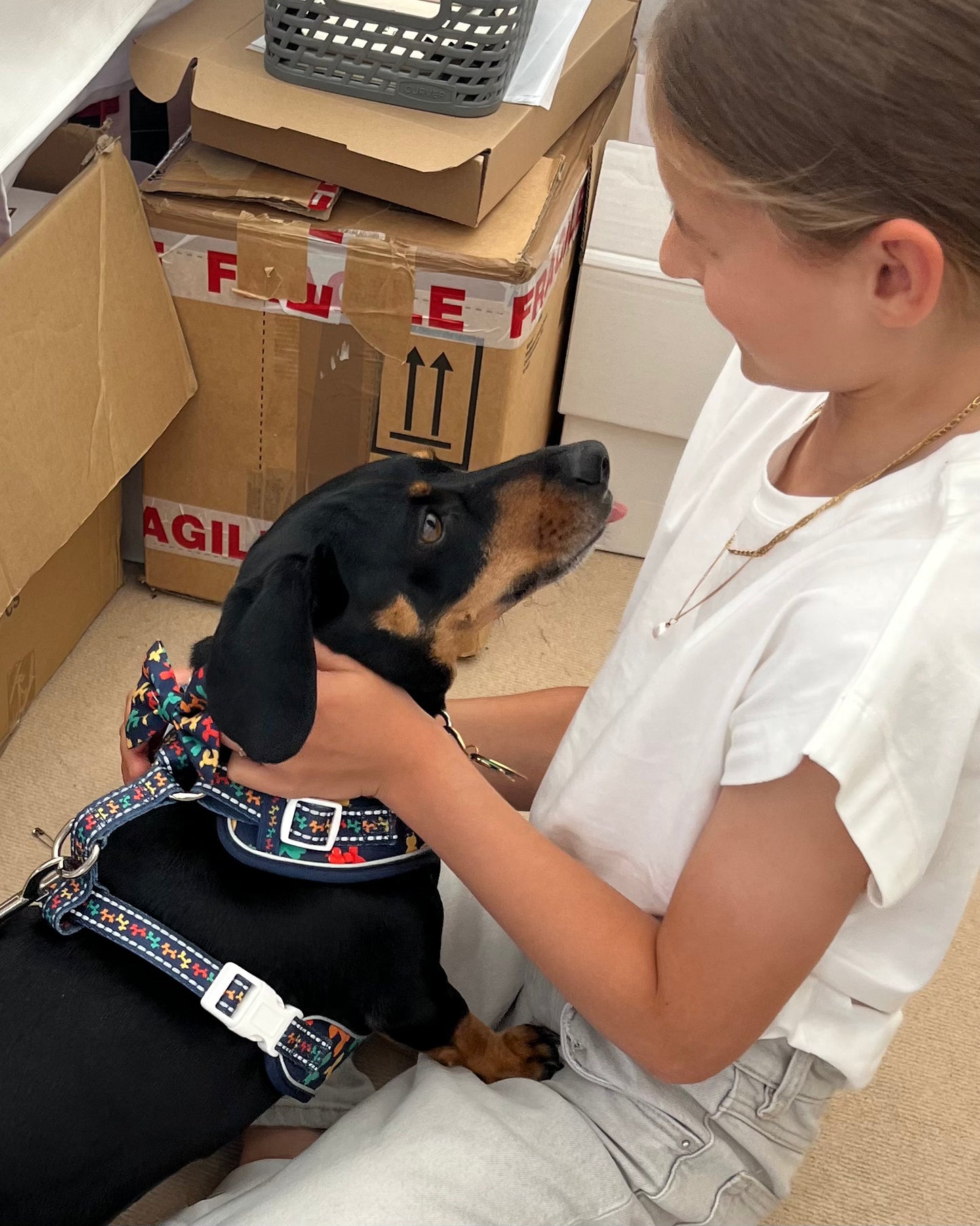 Meet my Dachshund Riley Necklace 🐾✨