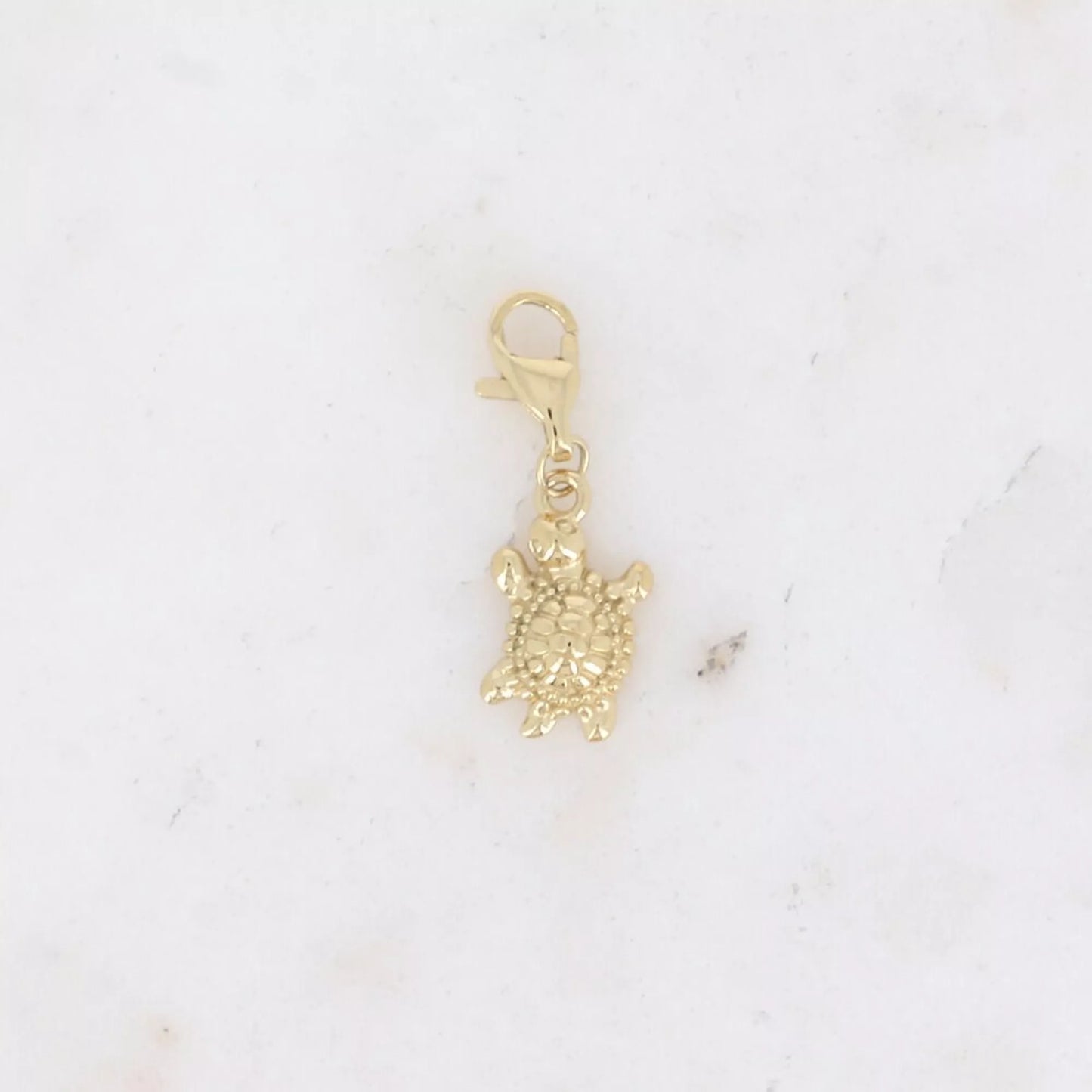 Turtle Charm β Slow and golden wins the style race π’β¨