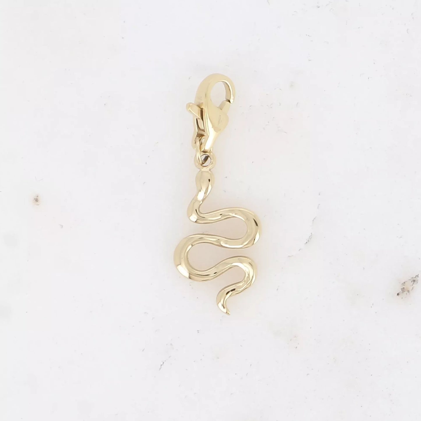 Golden Snake Charm – Slinky, sleek, seriously spellbinding 🐍✨