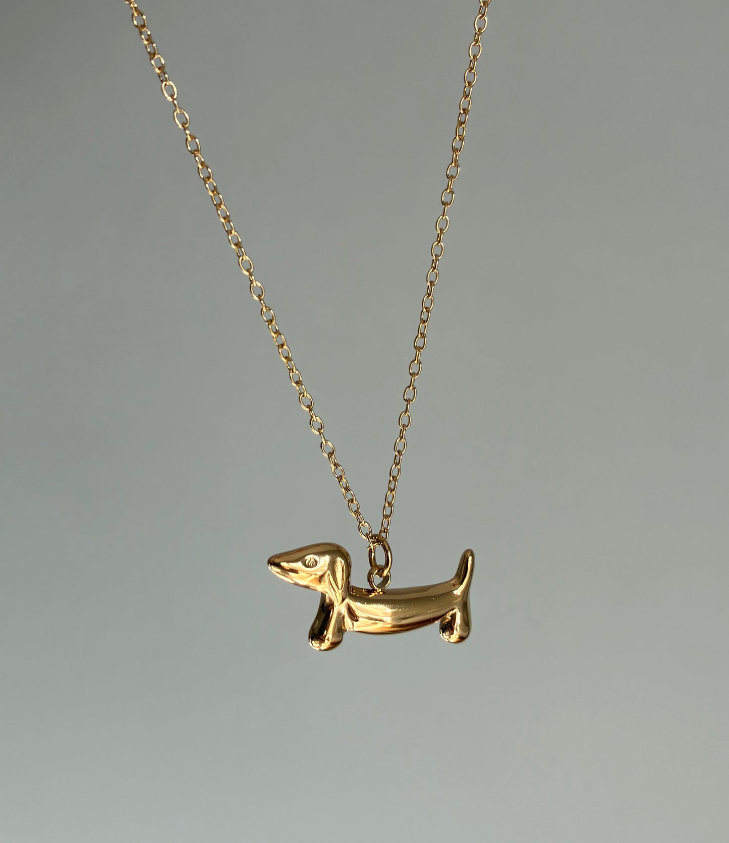 Meet my Dachshund Riley Necklace 🐾✨